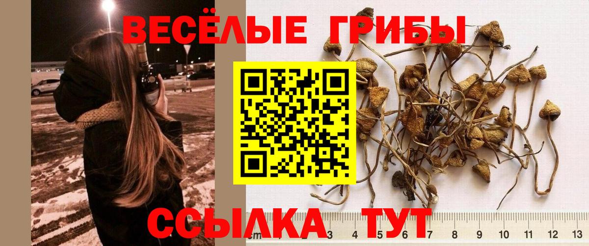 Ступино  Галлюциногенные грибы GOLDEN TEACHER  Вход с VPN  Галлюциногенные грибы мухоморы 