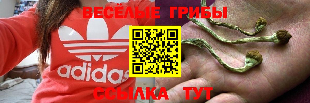 Псилоцибиновые грибы MAGIC MUSHROOMS Ступино